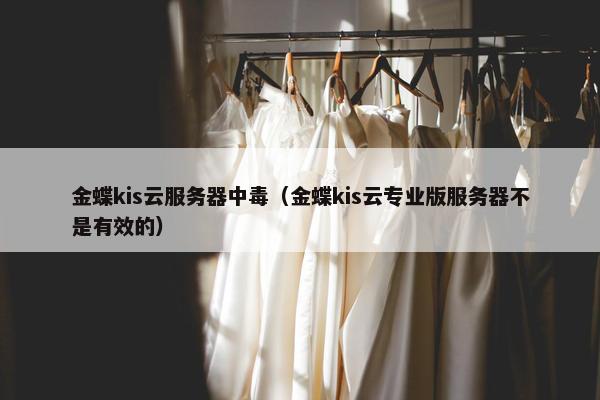 金蝶kis云服务器中毒（金蝶kis云专业版服务器不是有效的）