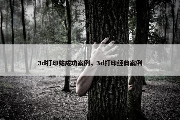 3d打印站成功案例，3d打印经典案例