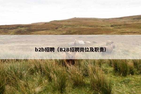b2b招聘（B2B招聘岗位及职责）