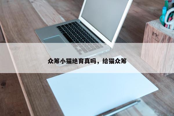 众筹小猫绝育真吗，给猫众筹