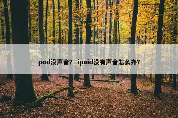 pod没声音？ ipaid没有声音怎么办？