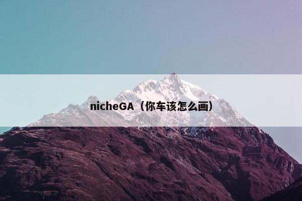 nicheGA（你车该怎么画）