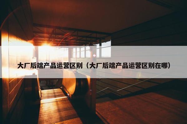 大厂后端产品运营区别（大厂后端产品运营区别在哪）