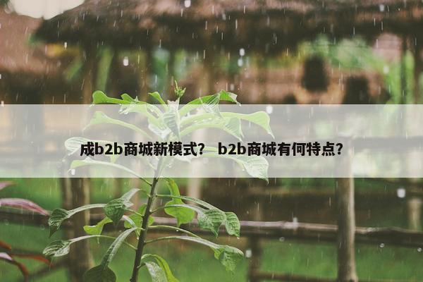 成b2b商城新模式？ b2b商城有何特点？