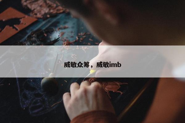 威敏众筹，威敏imb