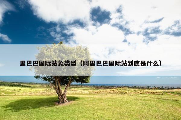 里巴巴国际站象类型（阿里巴巴国际站到底是什么）