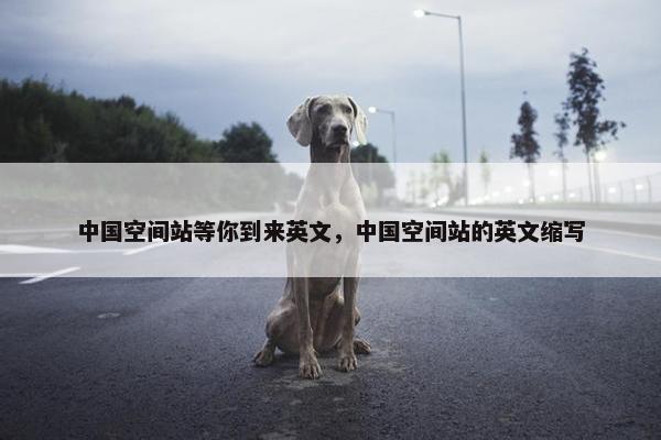 中国空间站等你到来英文，中国空间站的英文缩写