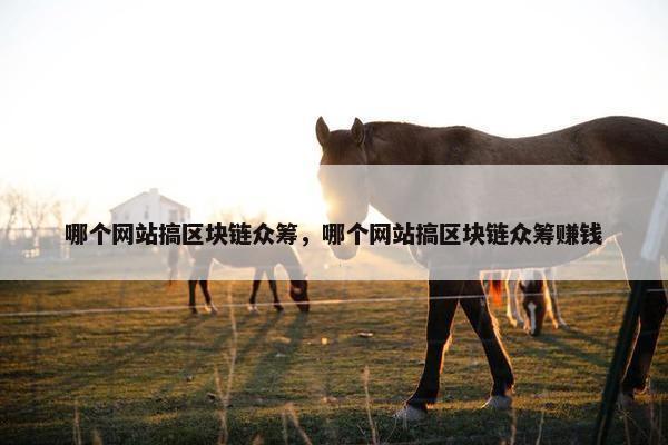 哪个网站搞区块链众筹，哪个网站搞区块链众筹赚钱
