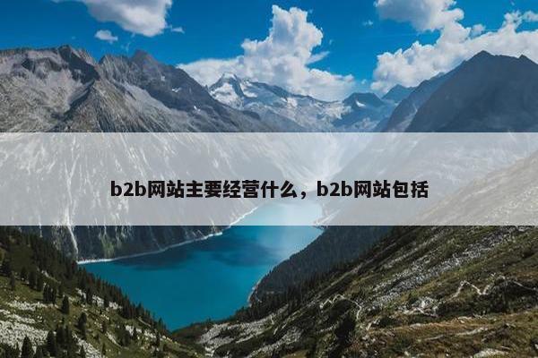 b2b网站主要经营什么，b2b网站包括