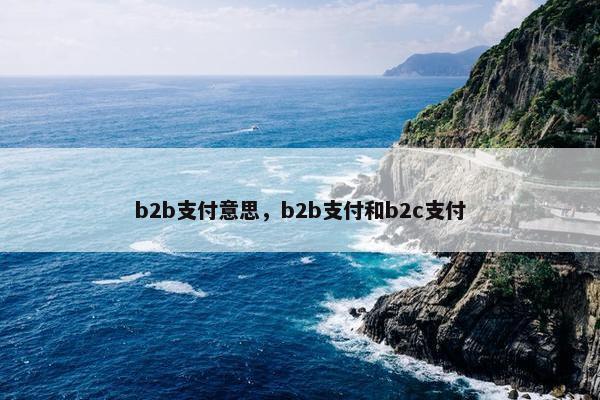 b2b支付意思，b2b支付和b2c支付