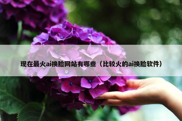 现在最火ai换脸网站有哪些（比较火的ai换脸软件）