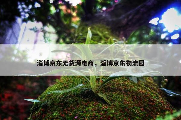 淄博京东无货源电商，淄博京东物流园