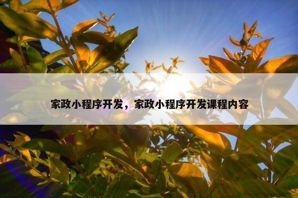 家政小程序开发，家政小程序开发课程内容
