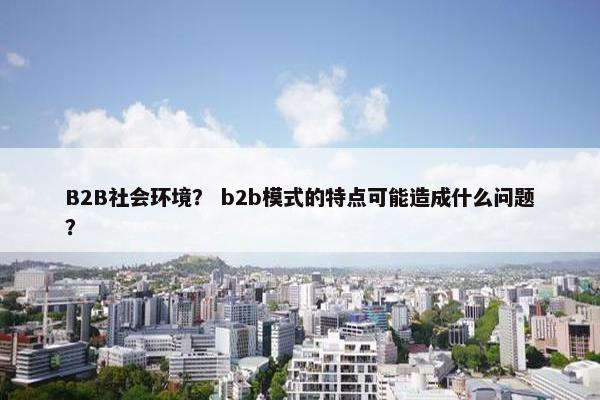B2B社会环境？ b2b模式的特点可能造成什么问题？