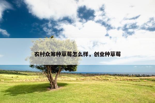 农村众筹种草莓怎么样，创业种草莓