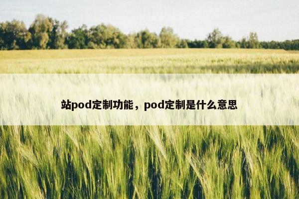 站pod定制功能，pod定制是什么意思