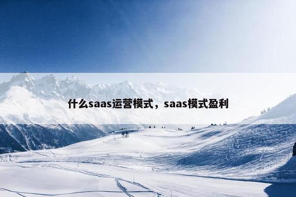 什么saas运营模式，saas模式盈利