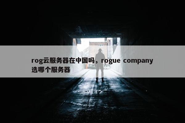rog云服务器在中国吗，rogue company选哪个服务器