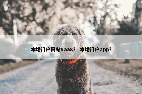 本地门户网站SaaS？ 本地门户app？
