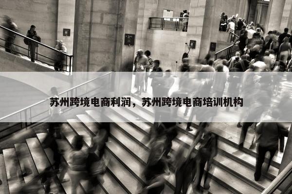 苏州跨境电商利润，苏州跨境电商培训机构