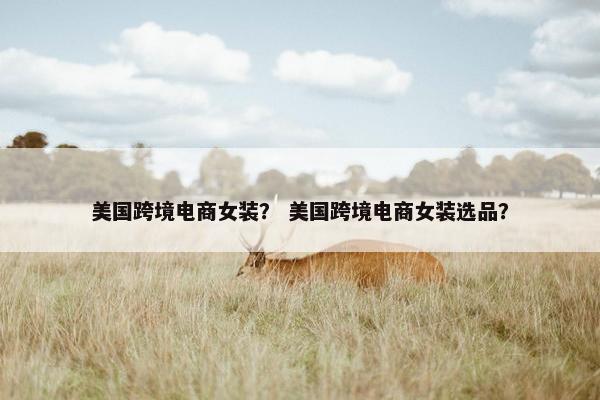 美国跨境电商女装？ 美国跨境电商女装选品？