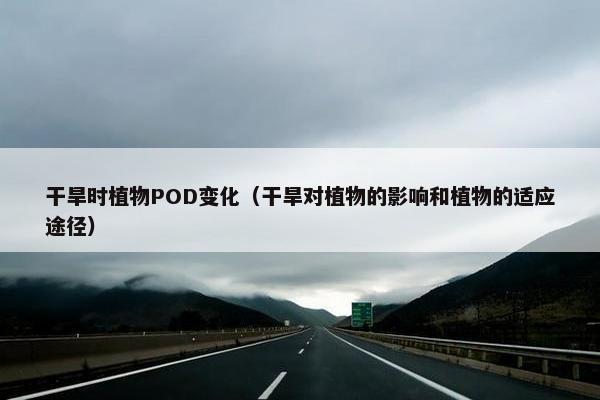 干旱时植物POD变化（干旱对植物的影响和植物的适应途径）