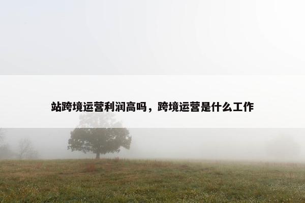 站跨境运营利润高吗，跨境运营是什么工作