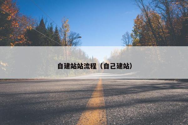 自建站站流程（自己建站）