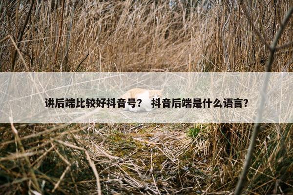 讲后端比较好抖音号？ 抖音后端是什么语言？
