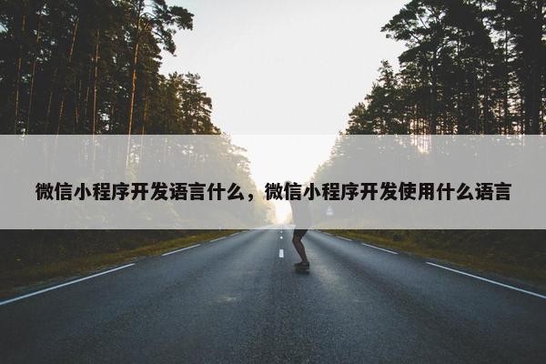 微信小程序开发语言什么，微信小程序开发使用什么语言