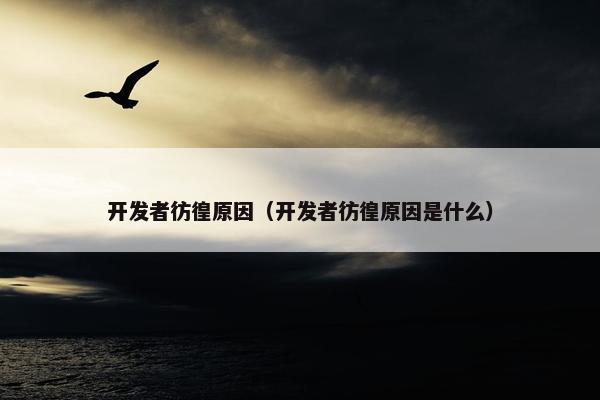 开发者彷徨原因（开发者彷徨原因是什么）
