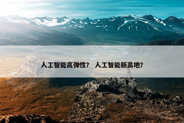 人工智能高弹性？ 人工智能新高地？