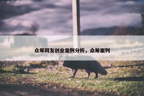 众筹网友创业案例分析，众筹案列