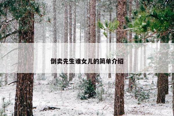 倒卖先生谁女儿的简单介绍