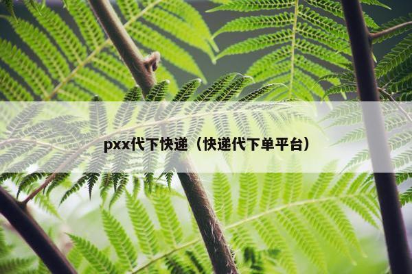 pxx代下快递（快递代下单平台）