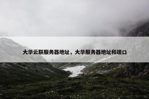 大华云联服务器地址，大华服务器地址和端口