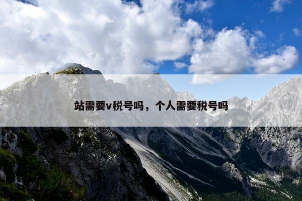 站需要v税号吗，个人需要税号吗