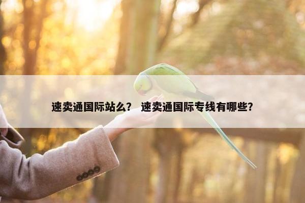 速卖通国际站么？ 速卖通国际专线有哪些？
