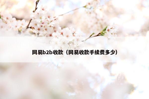 网易b2b收款（网易收款手续费多少）