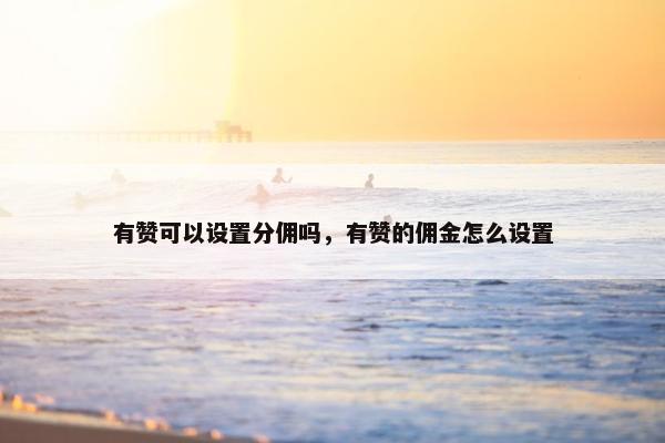 有赞可以设置分佣吗，有赞的佣金怎么设置
