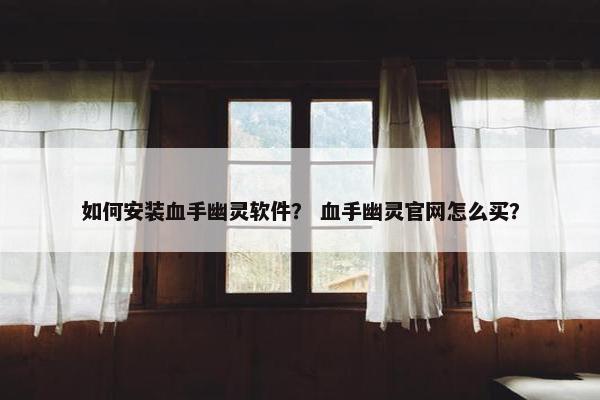 如何安装血手幽灵软件？ 血手幽灵官网怎么买？
