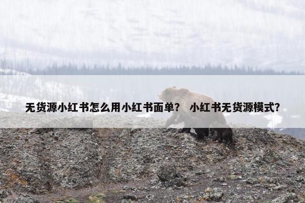 无货源小红书怎么用小红书面单？ 小红书无货源模式？