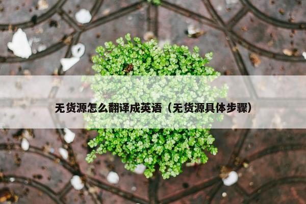 无货源怎么翻译成英语（无货源具体步骤）
