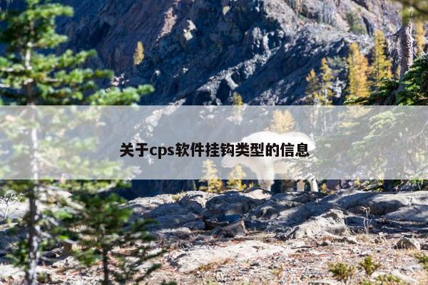 关于cps软件挂钩类型的信息