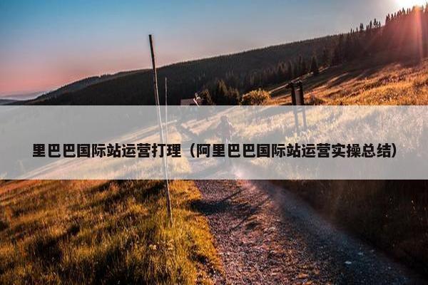 里巴巴国际站运营打理（阿里巴巴国际站运营实操总结）