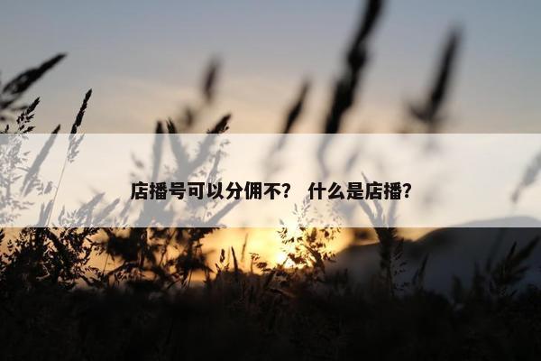 店播号可以分佣不？ 什么是店播？