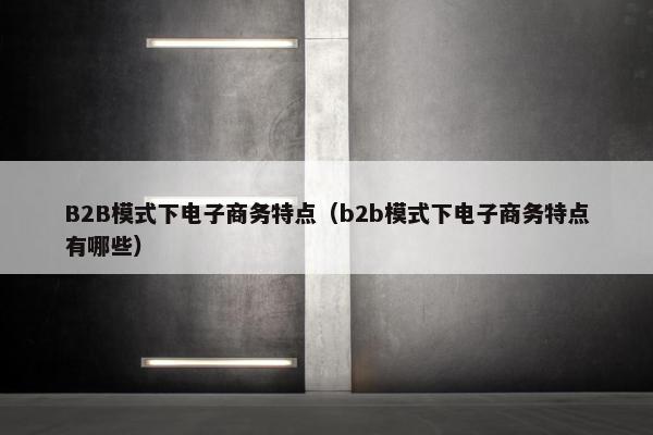B2B模式下电子商务特点（b2b模式下电子商务特点有哪些）