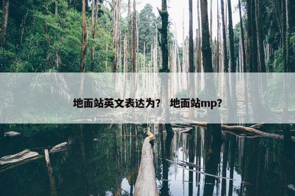 地面站英文表达为？ 地面站mp？