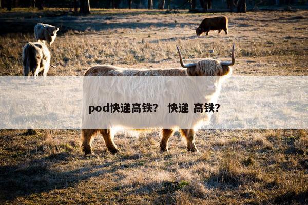pod快递高铁？ 快递 高铁？