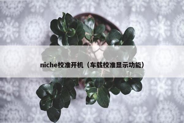 niche校准开机（车载校准显示功能）